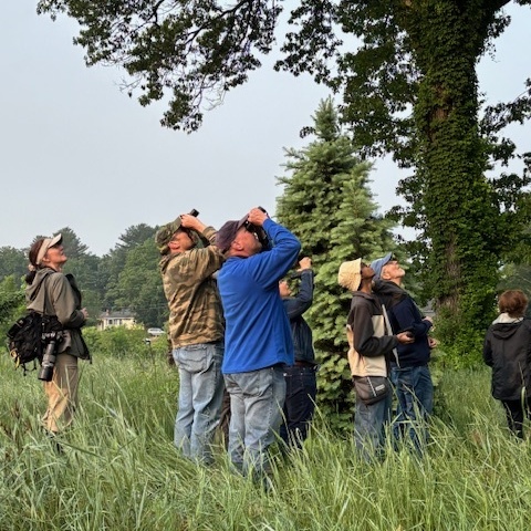 2026 Spring Bird Walk at the Pawtucket Wildlife Farm Sanctuary - logo